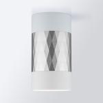 Накладной светильник Mizar DLN110 белый/серебристый Elektrostandard